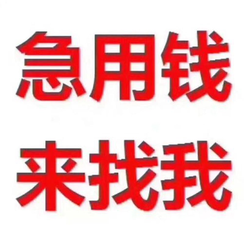 德兴市的小额贷款市场：民间借贷与正规金融的较量